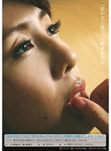 TIN-008 DVD Cover