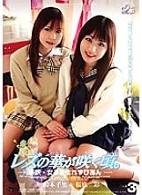 JL-003 DVD Cover