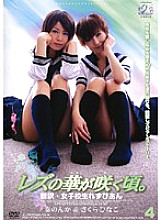 JL-04 DVD Cover