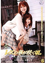 JL-05 DVD封面图片 