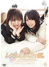 JL-06 DVD Cover