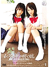 JL-01 Sampul DVD
