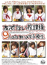 DVH-228 DVD Cover