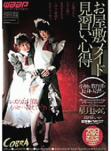 CBD-028 DVD Cover