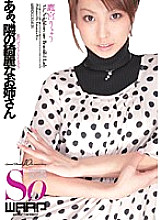 WSS-069 DVD Cover