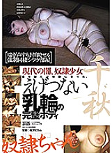 WZEN008 DVD Cover