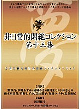 DPH-117 Sampul DVD