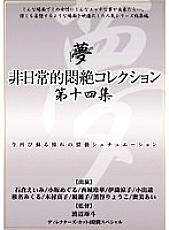 DPH-118 Sampul DVD