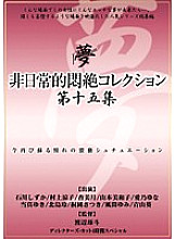 DPH-119 DVD Cover