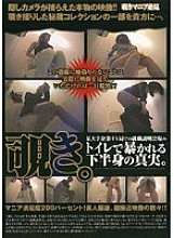 PBZ-040 DVD Cover