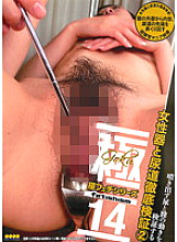 SWS-008 DVD Cover