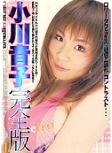 WX-130 DVD Cover