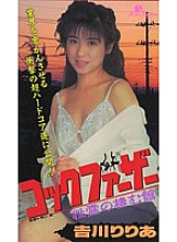 AMC-008 DVD Cover