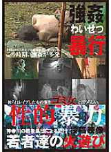 NEWS-45 DVD封面图片 