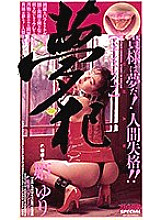 SP-146 DVD Cover