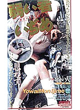 SP-330 DVD封面图片 