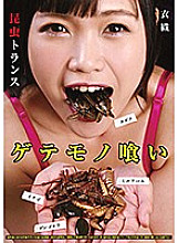 PSD-027 DVD Cover