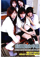 LAMF-006 DVDカバー画像