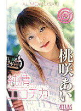 A04-101 DVD Cover