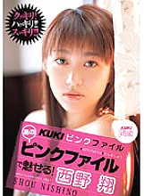 KK-133 DVD封面图片 