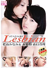 LESD-03 DVD封面图片 
