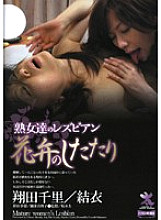 SHPDV-28 DVD Cover