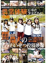 IBW-583 DVD Cover