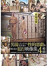 IBW-744 DVD封面图片 