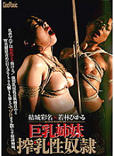 CMC-095 DVD Cover