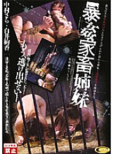 CMC-008 Sampul DVD