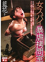 CMN-029 DVD Cover