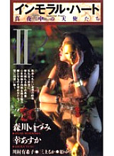 VS-237 DVD封面图片 