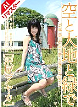SHY-014 Sampul DVD