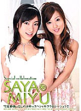 SHY-024R Sampul DVD