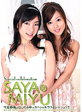 SHY-024 DVD Cover