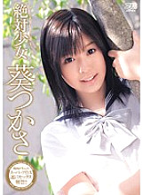 DV-1195 DVD Cover