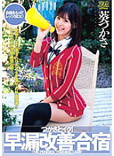 DV-01377 DVD Cover