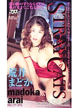 KA-1785 DVD封面图片 
