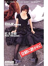 KR-9142 Sampul DVD