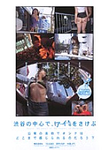 KS-8676 Sampul DVD