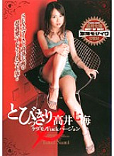 PSV-013 DVD Cover