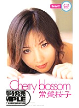 RTV-029 DVD Cover