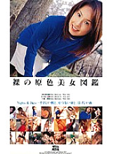D-633 DVD封面图片 