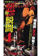 D-816 Sampul DVD