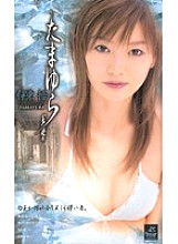 XS-2412 DVD Cover