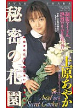 IM-80 DVD Cover