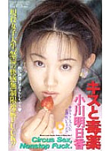 IM-97 DVD Cover