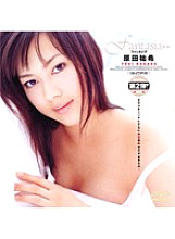 MDS-230 DVD Cover