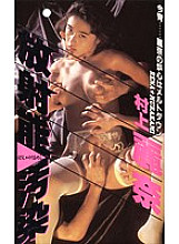 P-019 DVD Cover