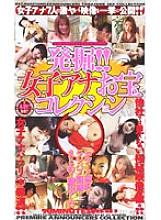 SE-217 DVD Cover